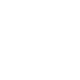 dentist white